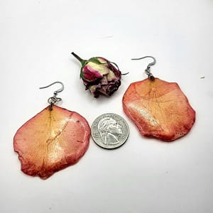Sunset Rose Petal Earrings Overhead size
